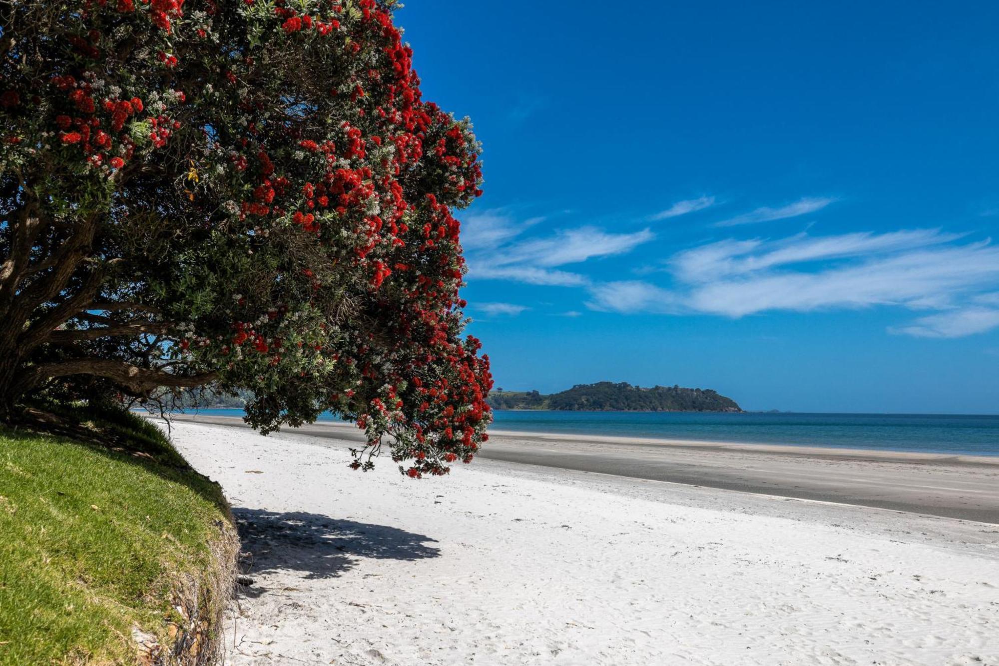 Apartment On The Beach Located At The Sands Onetangi Exterior photo